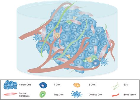 Application Of Three Dimensional D Bioprinting In Anti Cancer