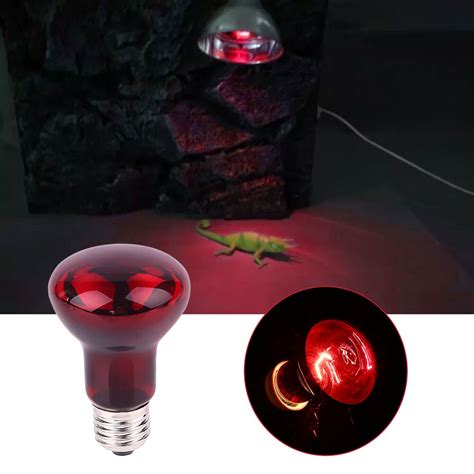 Lampe Reptile lumière ampoule Reptile chauffage 50 Grandado