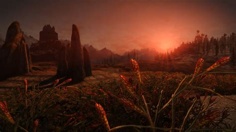 Hd Vanilla Grass Retexture At Skyrim Special Edition Nexus Mods And Community