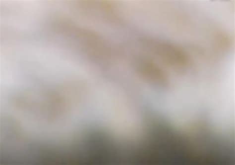 Busty Webcam Fuck
