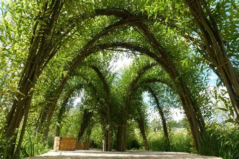 Living Willow Structure Pergola Ideas For Patio Backyard Gazebo