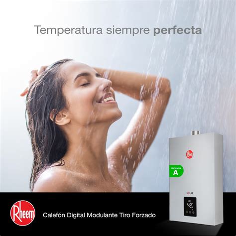 Calefont 14 Litros Gas Licuado Tiro Forzado Rheem Homegas