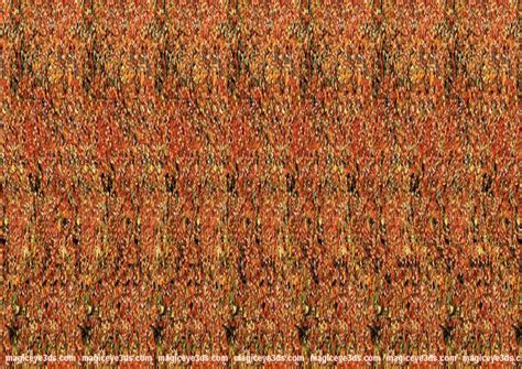 Magic Eye 3d Picture Here Is Some Cool 3d Stereogram Pictures Magic Eyes Magic Eye Pictures