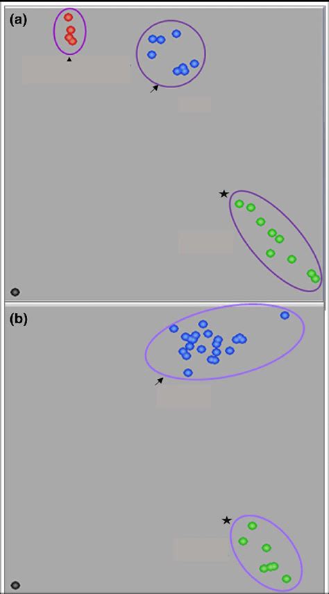 Snapshot Of Snp Genotyping With Kaspar Assay Clustering Of Alleles Is