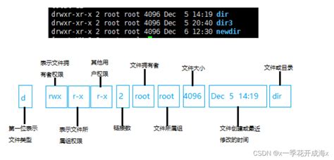 Linuxlinux Linux L Csdn