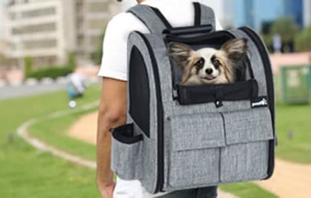 Avis Sac Dos Pour Chien Comparatif Prix