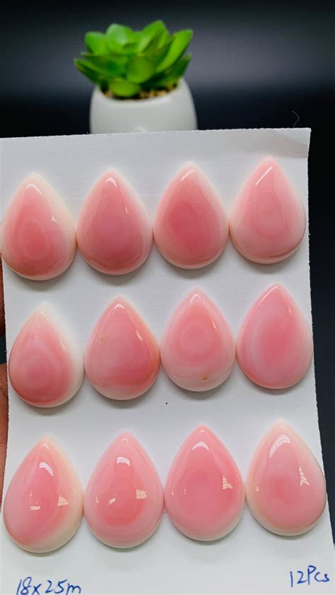 Queen Conch Shell Pear Cabs X Mm Size Pack Of Pc Baby Pink Color