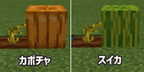 【マイクラ】各種「畑」の作り方や育て方など農業の基本を解説！ ｜ ひきこもろん