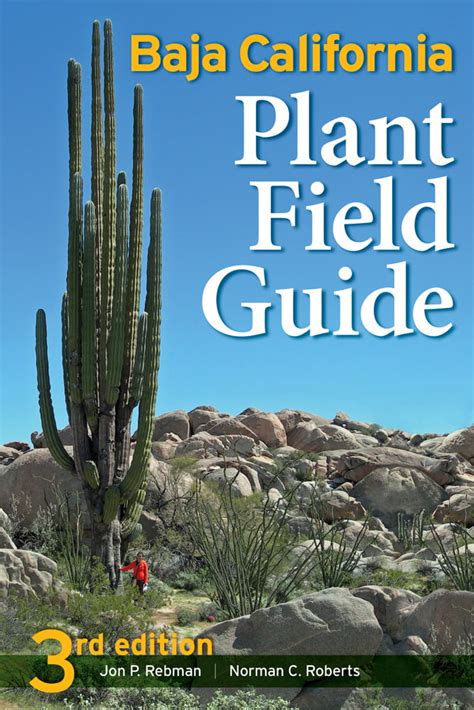 Sunbelt Publications Baja California Plant Field Guide 3rd Edition