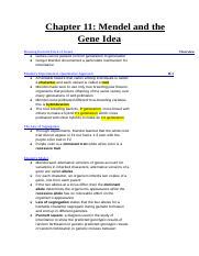 Ap Biology Notes Chapter Mendel And The Gene Idea Docx Chapter