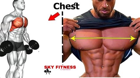 Chest Exercises To Build A Perfect Chest Youtube