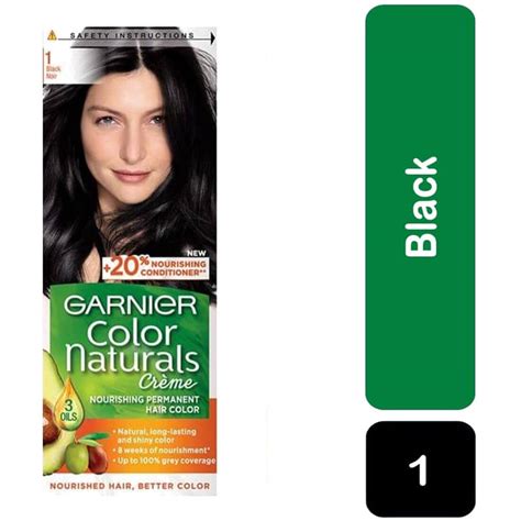 Garnier Hair Color Black 1