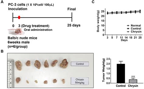 Figure 5 From Sphkhif 1α Signaling Pathway Has A Critical Role In