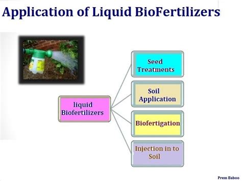 What Is The Recommended Dose For Liquid Biofertilizers In Spice Crops