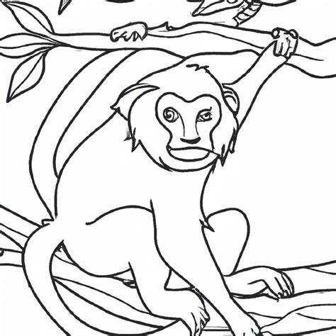 Aprenda A Colorir Um Macaco E Diverta Se Desenhos Para Colorir