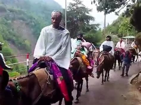 Uttarakhand News Kedarnath Yatra Pilgrims Troubled By Horse Mule Owners