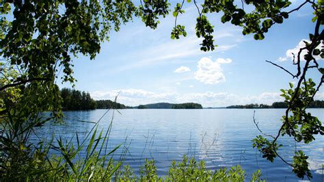 Borrelioosin oireet ja hoito Mehiläinen