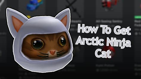 How To Get The Limited Item Arctic Ninja Cat Youtube