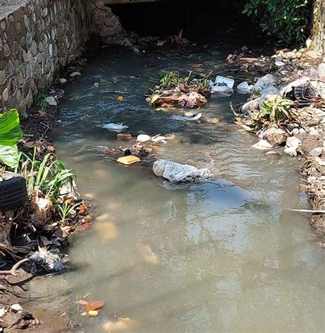 Detectan Alta Contaminación en Ríos y Playas de Tapachula Periódico