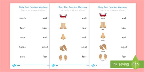 Body Parts Function Matching Differentiated Activity