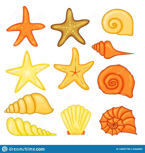 Colorful Tropical Shells Underwater Icon Set Frame Of Sea Shells