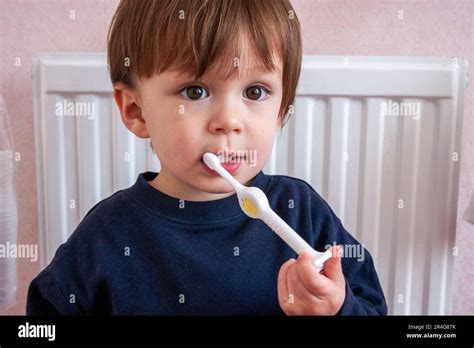 Close Up Of Two Year Old Child Mixed Race Japanese English Boy