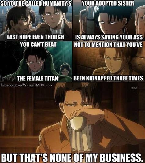 Attack on titan MEMES ️ ️ ️ | Attack On Titan Amino