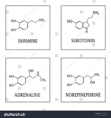 Stock Vektor Dopamine Serotonin Adrenaline Norepinephrine Molecule