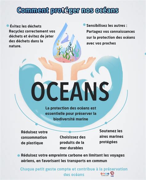 INFOGRAPHIE Les gestes à adopter pour protéger nos océans