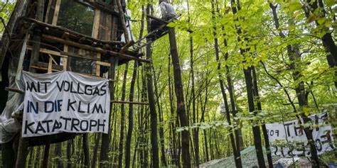 Ermittlungen gegen 15 Umweltaktivisten nach Räumung von Fechenheimer Wald