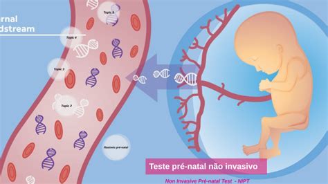 Teste Pré Natal Não Invasivo By Adriana Marques On Prezi