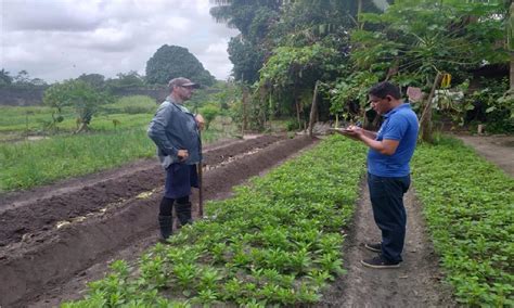 SEDEC Agricultores familiares do Curuçambá recebem mais apoio técnico