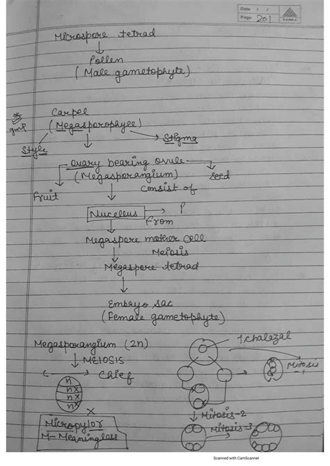 Solution Sexual Reproduction In Flowering Plants Studypool