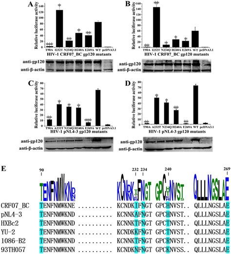 The Non Canonical Interface Was Involved In The Membrane Fusion And