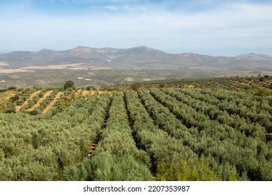 4 762 Agricultural Extension Images Stock Photos Vectors Shutterstock