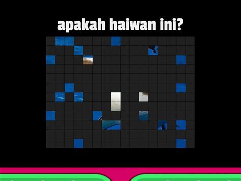 Haiwan Image Quiz