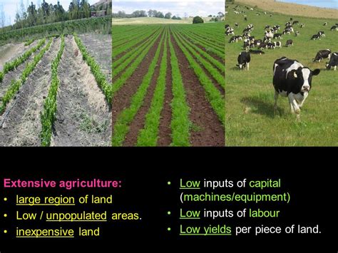 Extensive Farming Vs Intensive Farming