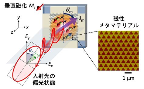 スピン流を光で完全に制御する新原理を開拓 ～超高速・高性能な光スピントロニクスデバイスの実現に期待～ 名古屋大学未来材料・システム研究所