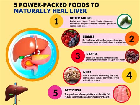 Best Foods For Liver Health Rela Ms Hospitals