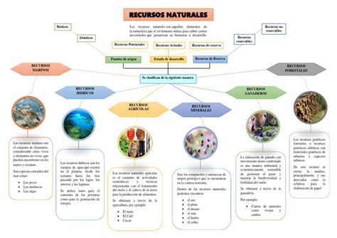 Recursos Naturales Mapa Mental Pdf Agricultura Mar