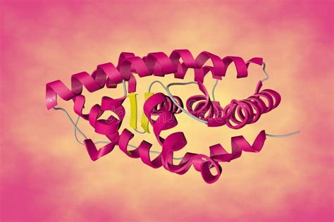 Crystal Structure Of Human Estrogen Related Receptor Gamma Ligand