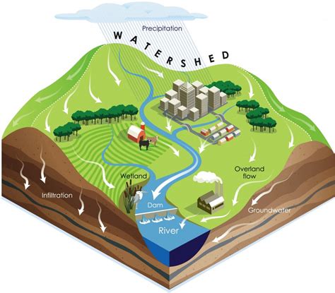 Definition And Characteristics Of Watershed