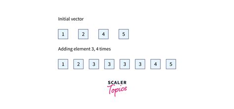 C Vector Insert Function Scaler Topics