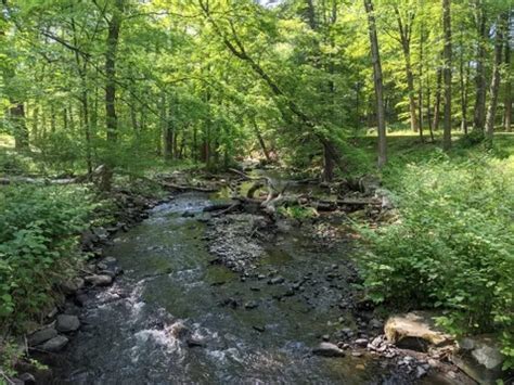 10 Best Trails And Hikes In Sleepy Hollow Alltrails