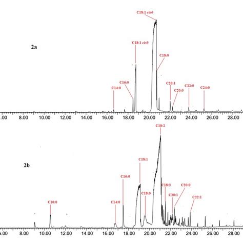 Gc Ms Chromatogram Of The Fatty Acid Methyl Esters Isolated From A A