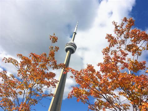 Beautiful fall colours in Toronto #CNTower #DiscoverON / Les couleurs ...