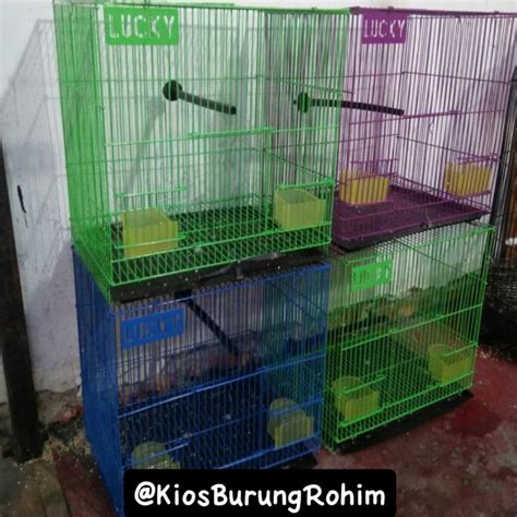 Jual Kandang Sangkar Burung Ukuran Kotak Kecil Shopee Indonesia