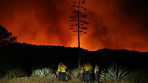 Penyebab Kebakaran Di Los Angeles Terparah Sepanjang Sejarah Lengkap