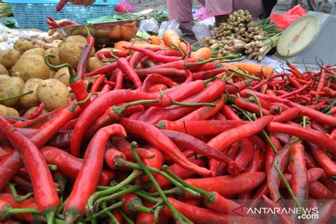 Harga Cabai Merah Di Makassar Capai Rp70 Ribu Per Kilogram ANTARA News