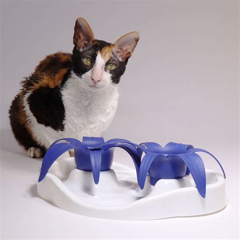 Aïkiou Thin Kat Interactive Cat Puzzle Slow Feeder - Katzenworld Shop